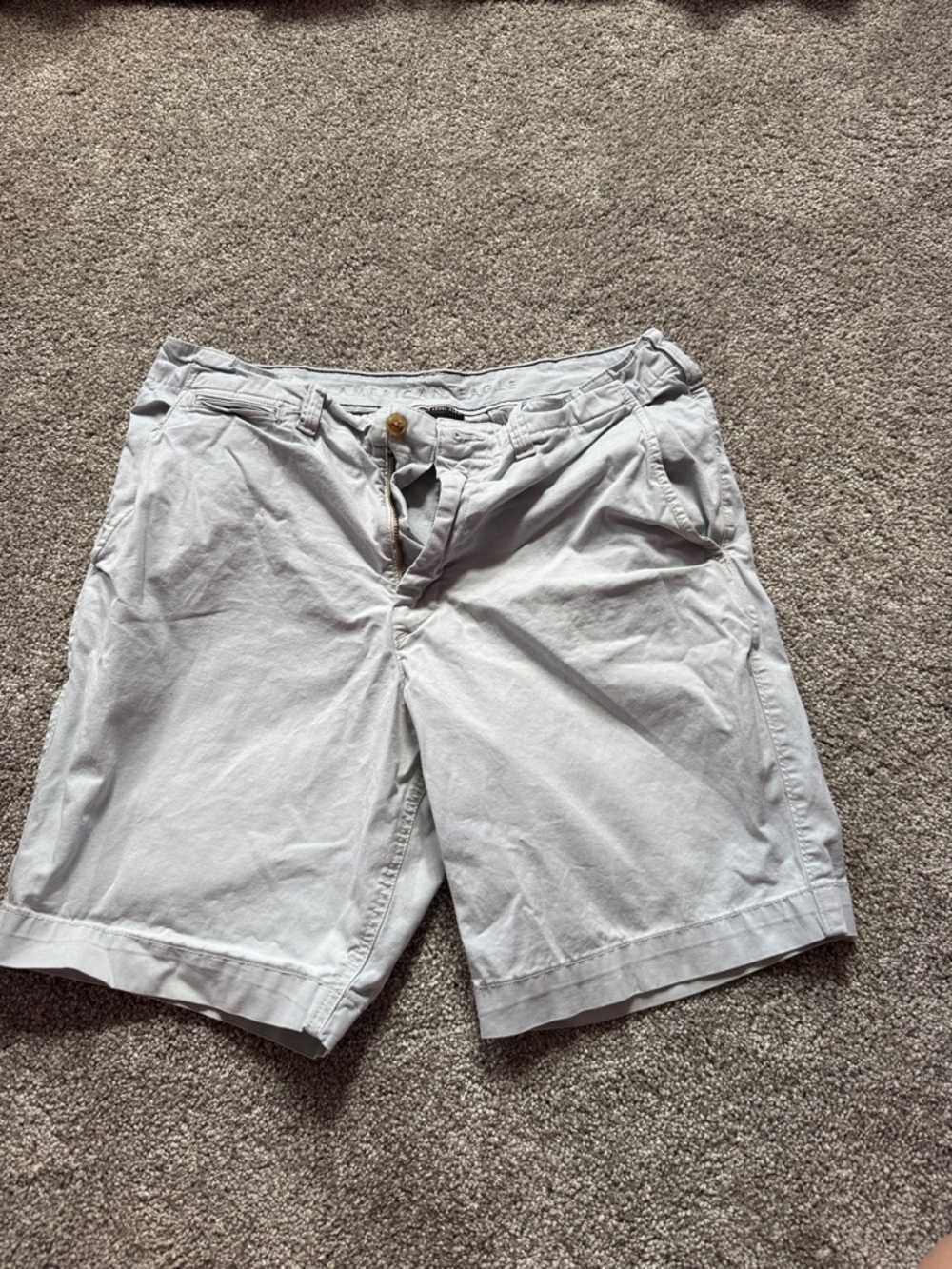 American Eagle Outfitters Light Blue Flat Front Chino Shorts